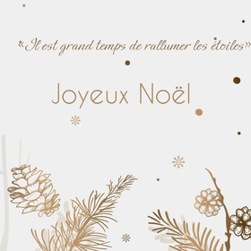 ✨La Team Ripauste vous souhaite un Joyeux Noel 🎅rempli de douceur, de moments partagés et de magie ✨